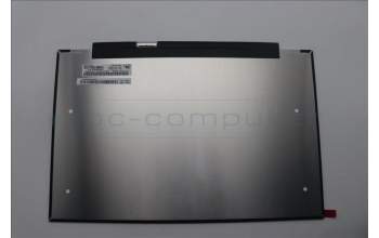 Lenovo 5D11F20752 DISPLAY FRU LGD LP133WQ1-SPB2 13.3 WQX