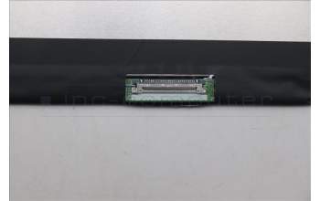 Lenovo 5D11P79760 DISPLAY AUO 13.3 WUXGA AG