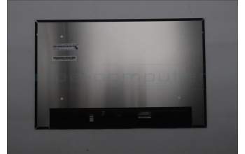 Lenovo 5D11P79776 Lenovo DISPLAY, 16\", WUXGA, Non_Touch, Anti-Glare, IPS, 500nit, 100%SRGB