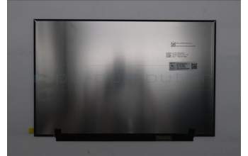 Lenovo 5D11Q46786 Lenovo DISPLAY, 14.5\", 3K, Non_Touch, Anti-Glare, IPS, 500nit, 100%DCI-P3
