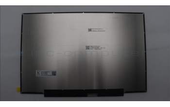 Lenovo 5D11S95310 Lenovo DISPLAY, 14\", WUXGA, Non_Touch, Anti-Glare, IPS, 400nit, 45%NTSC