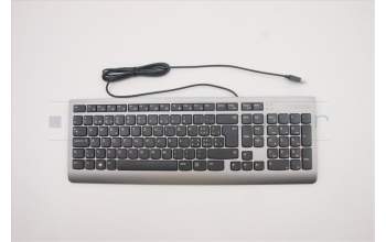 Lenovo 5D50U84409 Keyboard External,USB,Swiss French/German,Grey,Non_Backlight
