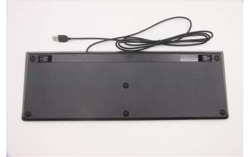 Lenovo 5D50U84476 Keyboard External,USB,Indian,Black