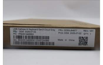 Lenovo 5D50U84877 Keyboard External, USB, German, Cloud Grey