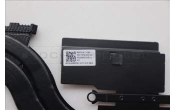 Lenovo 5H40S21040 Heatsink H 83DR UMA AMD HY