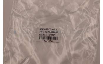 Lenovo 5H50S29055 HINGE W 82R9 CG