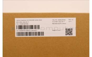 Lenovo 5KM0U87639 Keyboard_Mouse,Wireless, Belgium English,Black