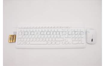 Lenovo 5KM1C03358 Keyboard_Mouse,2.4G,German,White_Grey,Non_Backlight