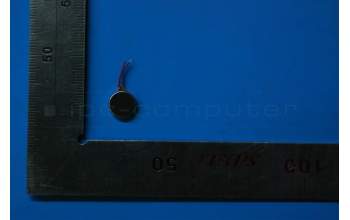 Lenovo 5M78C02050 A8-50 Vibrator &*26220094 CS