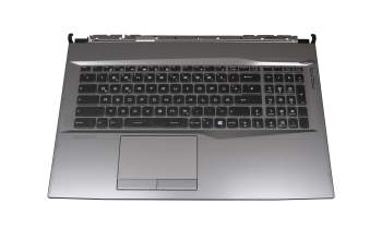 957-17E71E-C24 Original MSI Tastatur inkl. Topcase DE (deutsch) schwarz/grau mit Backlight