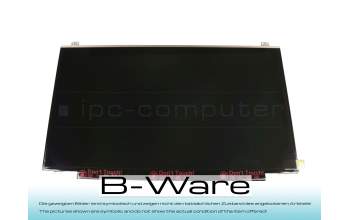 DLS17R IPS Display (1920x1080) matt slimline (30-Pin eDP) B-Ware