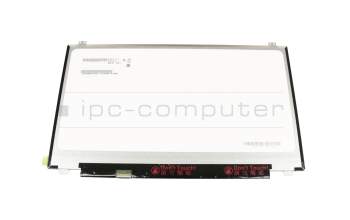 DLS17R IPS Display (1920x1080) matt slimline (30-Pin eDP) B-Ware