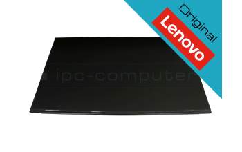 Lenovo 01AG968 original TN Display FHD (1920x1080) matt 60Hz
