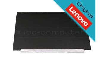 Lenovo 5D10S74987 original TN Display HD (1366x768) matt 60Hz