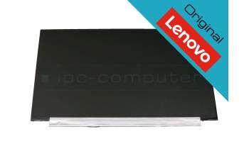 Lenovo 5D10W35432 original TN Display HD (1366x768) matt 60Hz