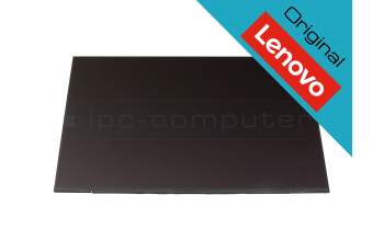 Lenovo 5D11U13979 original Touch IPS Display WUXGA (1920x1200) matt 60Hz
