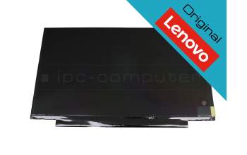 Lenovo SD10W08497 original TN Display HD (1366x768) matt 60Hz
