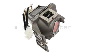 MC.JR211.001 Original Acer Beamerlampe P-VIP (203 Watt)