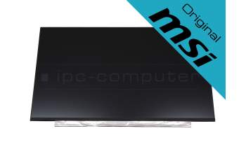 MSI Modern 15 A10M/A10RC/A10RD (MS-1551) Original IPS Display FHD (1920x1080) matt 60Hz