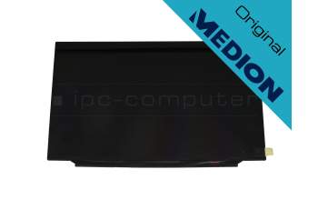Medion Erazer Defender P10 (NH77DDW-M) Original IPS Display FHD (1920x1080) matt 144Hz (40Pin)