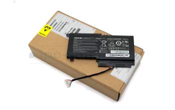 P000573230 Original Toshiba Akku 43Wh