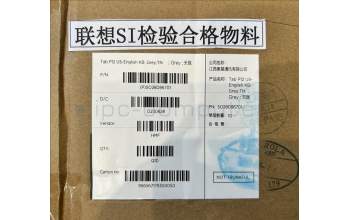 Lenovo SO28D86701 Spruce US-English KB;Gray;TN