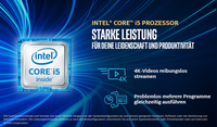 Acer TravelMate P2 (P238-M)