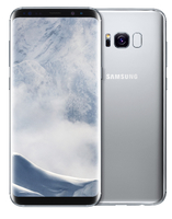 Samsung Galaxy S8+ (SM-G955FZSADBT)