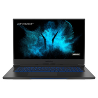 Medion Erazer Beast X10 (GM7MQ8P)