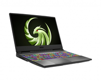 MSI Alpha 15 A4DE/A4DEK/A4DFR (MS-16UK)