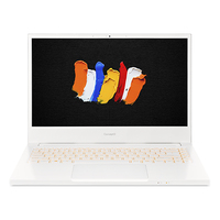 Acer ConceptD 3 (CN314-72)