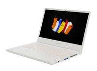 Acer ConceptD 3 (CN314-72P)