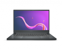 MSI Creator 15 A10UH/A10UHT (MS-16V3)