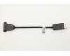 Lenovo 01YW407 KabelFru,Displayport_M to Displayport_F_w/o Profile 120mm