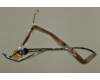 Dell NU481 ASSY,CBL,CCFL,LCD,W/,CMRA,PAO