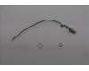 Lenovo 5A31F27721 Antenne Fru,148mm RF cable_LUX