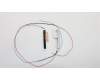 Lenovo 00NY625 Antenne WWAN KIT,HighTEK