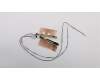 Lenovo 01HW955 Antenne FRU Antenne kit for Wlan/WWAN