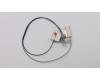 Lenovo 01LW169 Antenne FRU WLAN Antenne Kit
