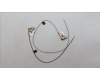Lenovo 5A30S36092 Antenne Antenne L 82Y5 MAIN+AUX