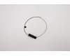 Lenovo 5A30W89193 Antenne Fru, Gaming T550 Aux Antenne
