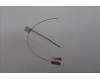 Lenovo 5A30Z88252 Antenne FRU Antenne WL(Main+Aux)_Fenrir3