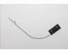 Lenovo 5A31F27780 Antenne LOQ 26L main Antenne_LUX
