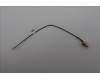Lenovo 5A31F27784 Antenne 170mm SMA RF Cable_LUX