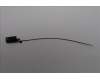 Lenovo 5A31F27787 Antenne GB10 main Antenne_AWAN