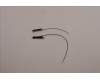 Lenovo 5A31F75897 Antenne KIT_WLAN Antenne_Amphenol