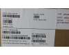 5M11L64730 Lenovo MECH_ASM KBD W C RUS BKLT LTN WW USGY