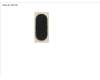 FUJ:CP720075-XX Fujitsu RUBBER FOOT, OVAL FLAT (1,1MM)
