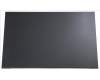 Acer KL.16005.010 Display.16".AUO.WUXGA.IPS.matt