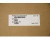 5N20V78139 Lenovo NB_KYB CMNM-CS20 BK-BL LTN IND ENG